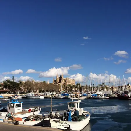 Icon Roseto Palma de Mallorca