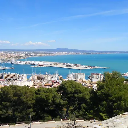 Icon Roseto 4* Palma