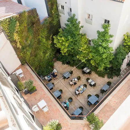 Icon Roseto Palma